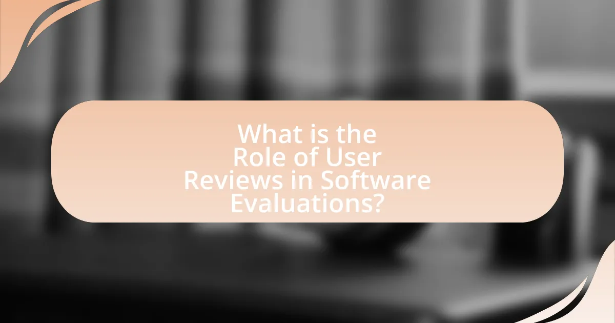 What is the Role of User Reviews in Software Evaluations?